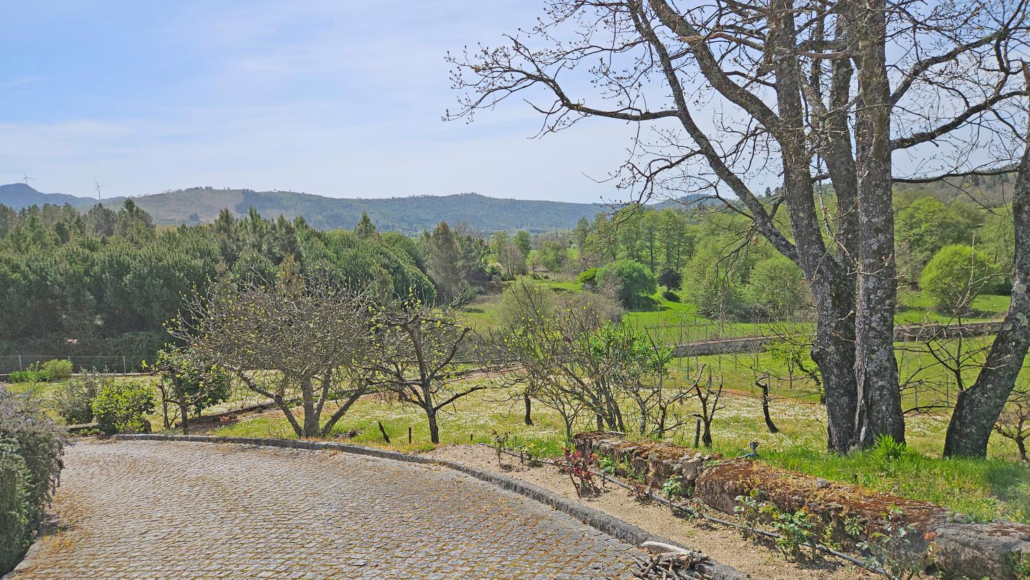  for sale farm Vela Guarda 6