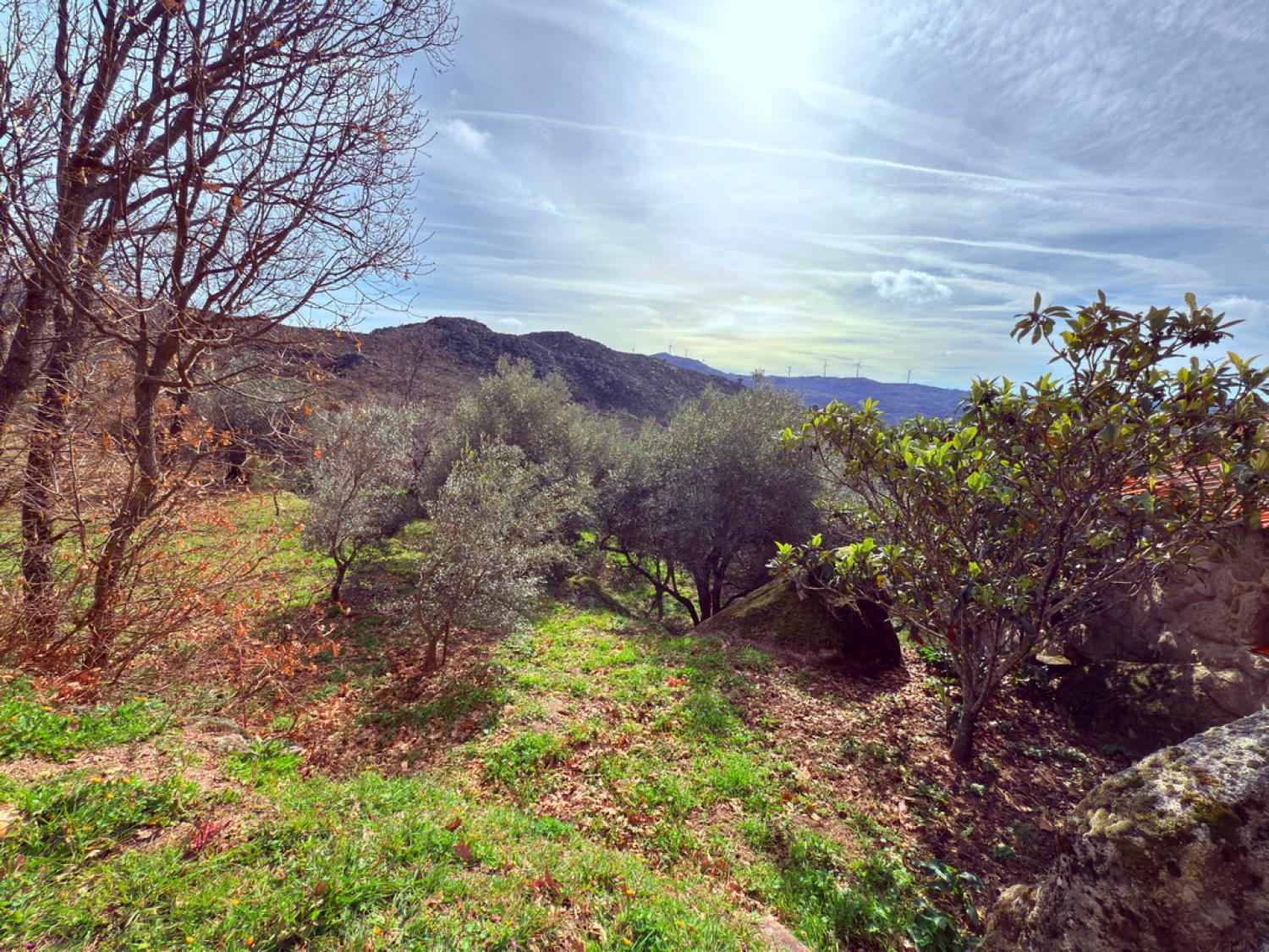  for sale farm Pousafoles do Bispo Sabugal 31