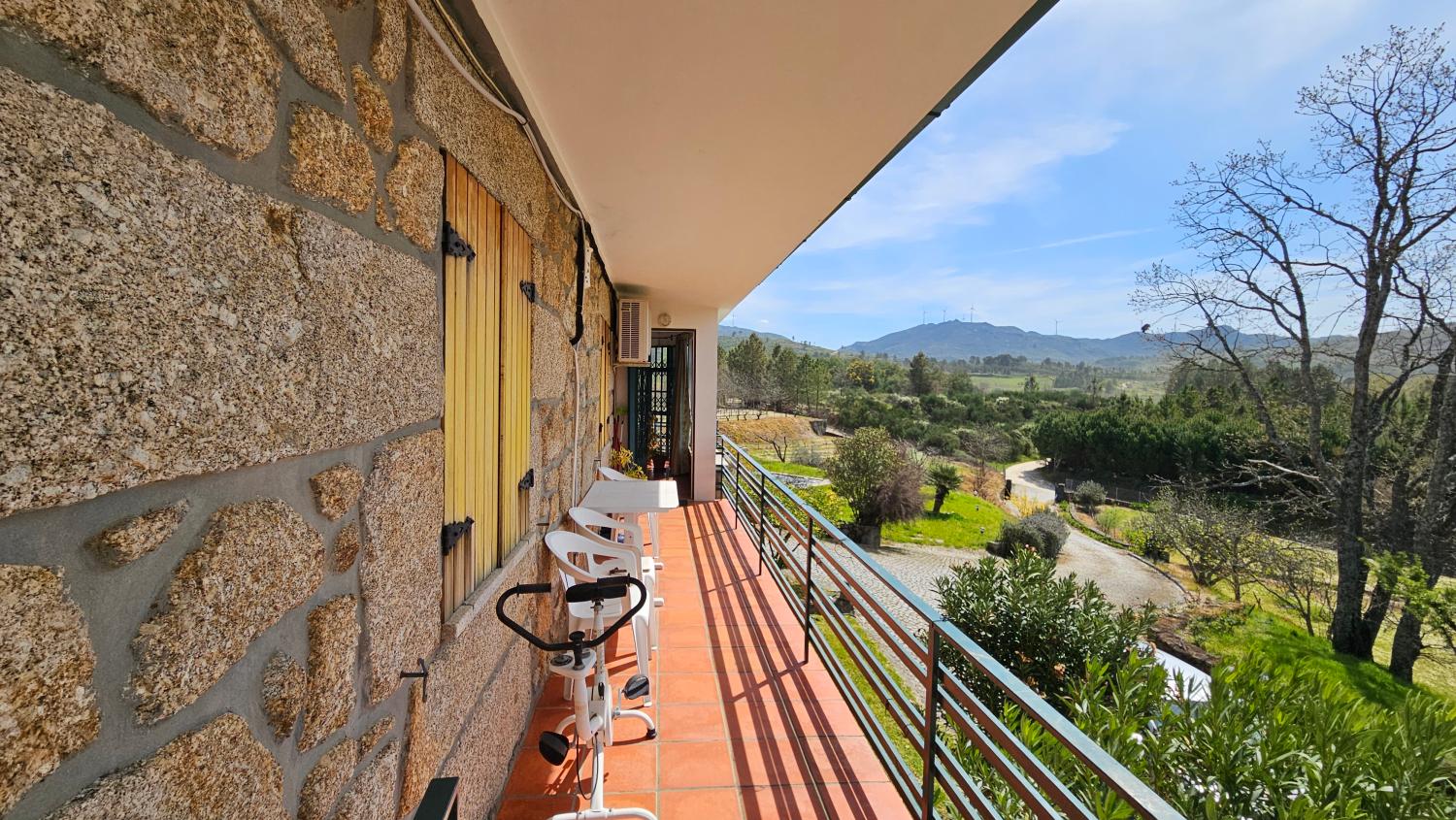  for sale farm Vela Guarda 5