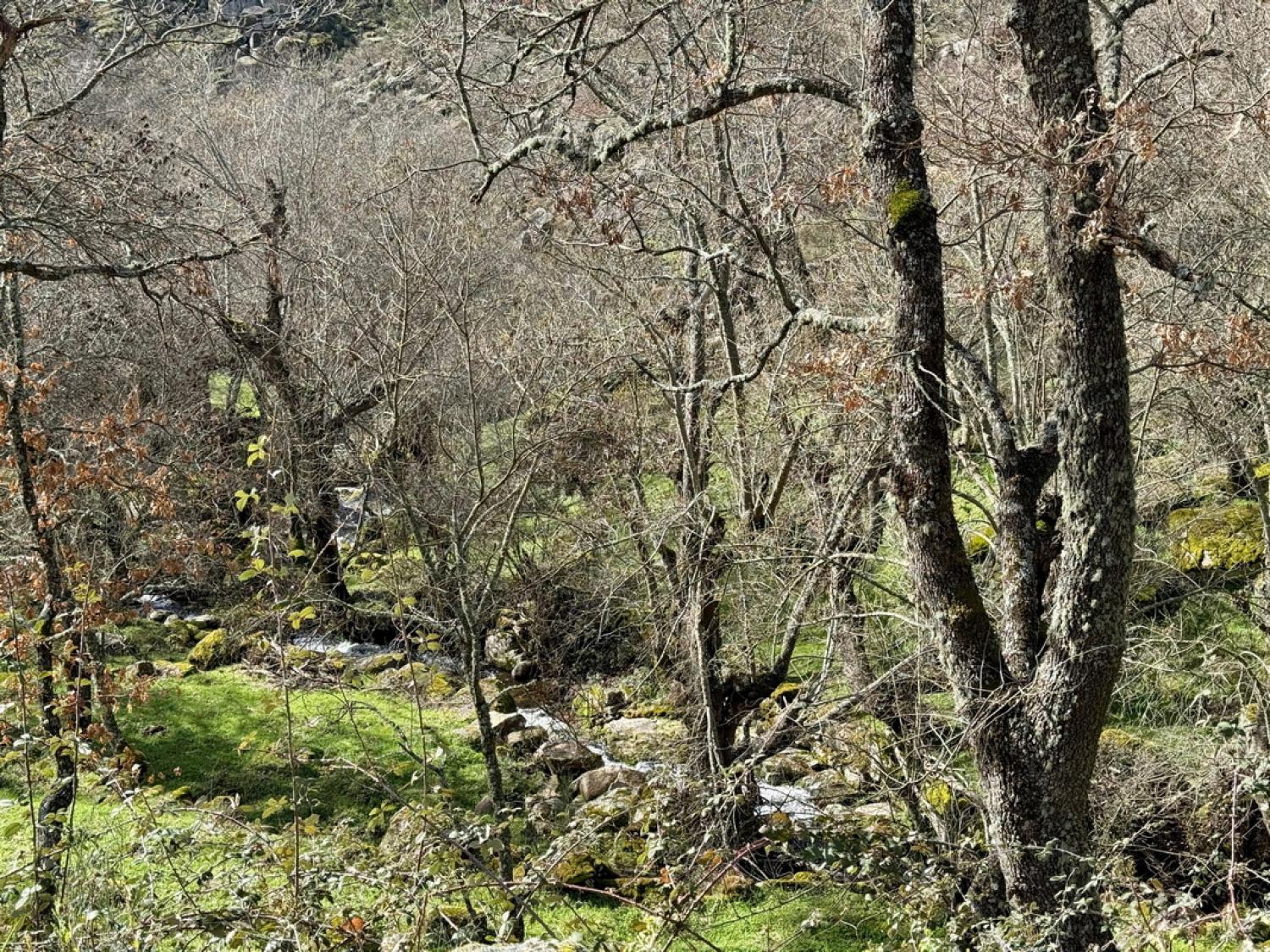  for sale farm Pousafoles do Bispo Sabugal 43