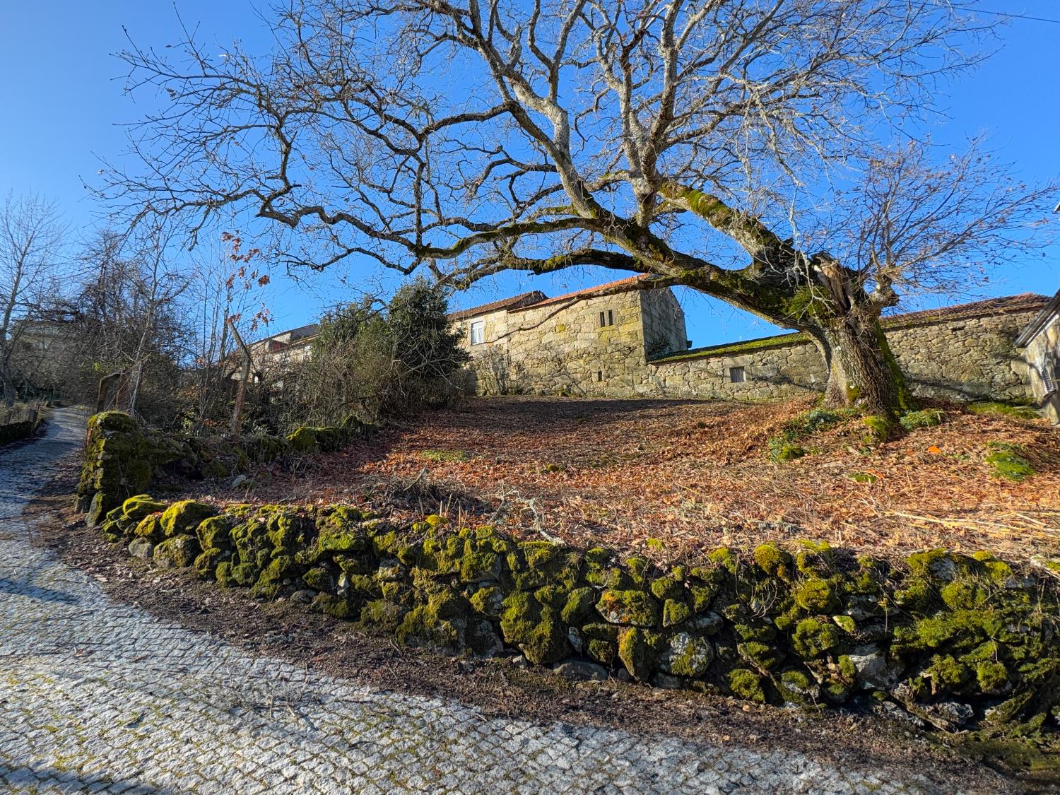  for sale village house Pousafoles do Bispo Sabugal 2