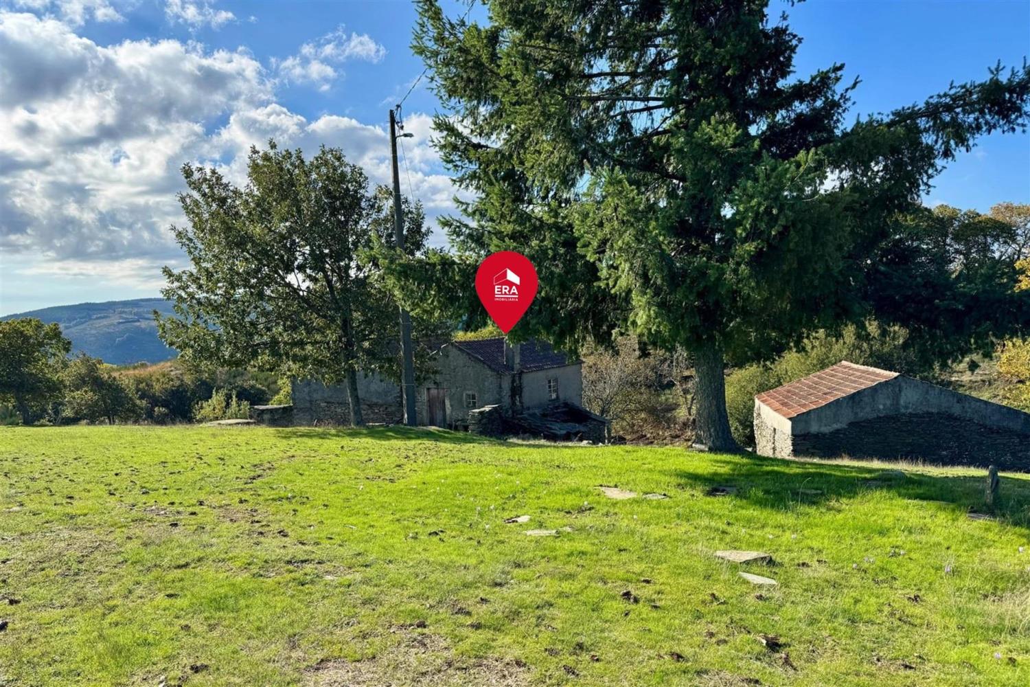  for sale farm Videmonte Guarda 1
