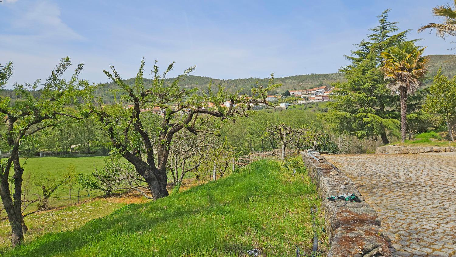  for sale farm Vela Guarda 8
