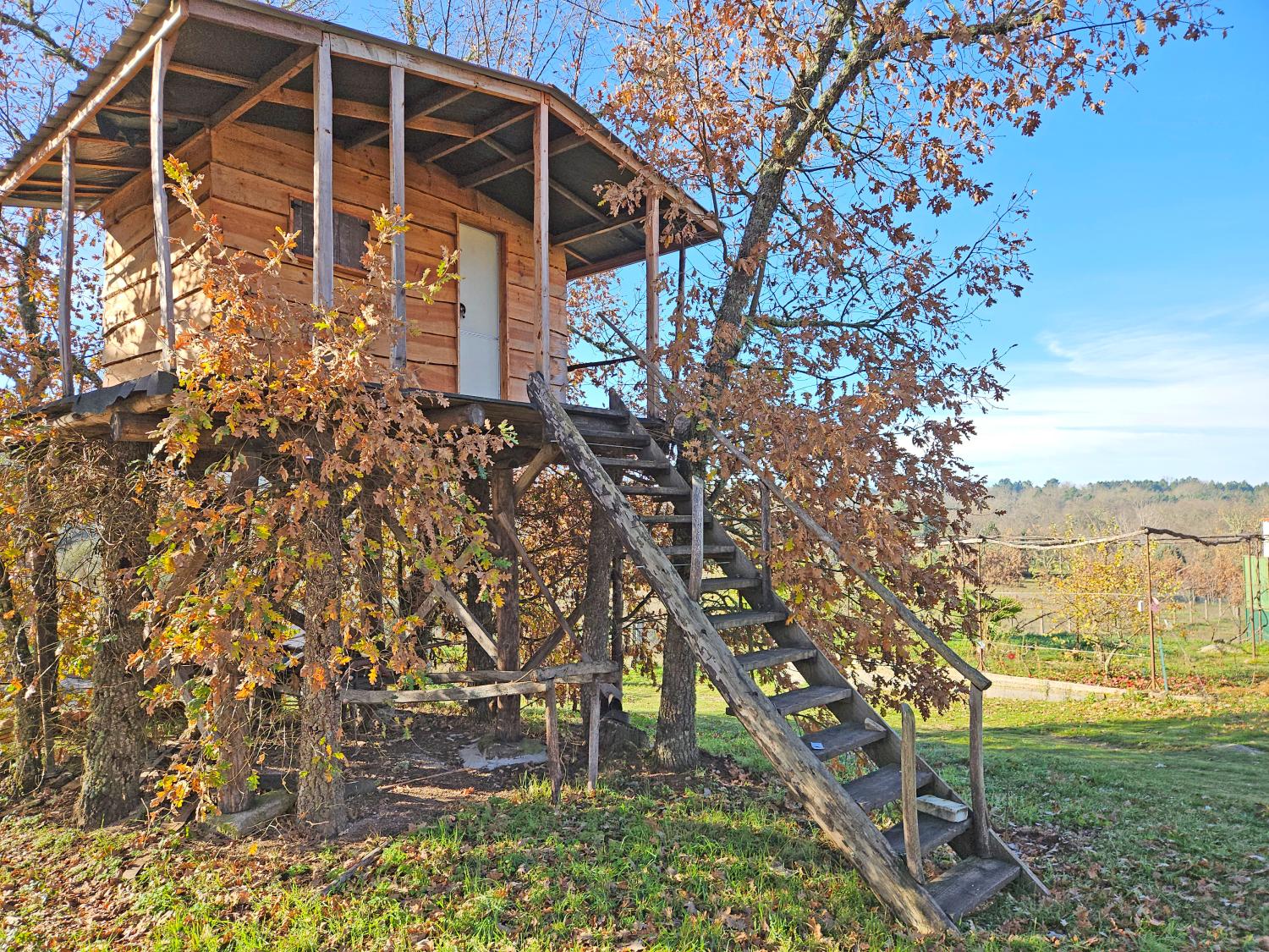  for sale detached house Casal de Cinza Guarda 6