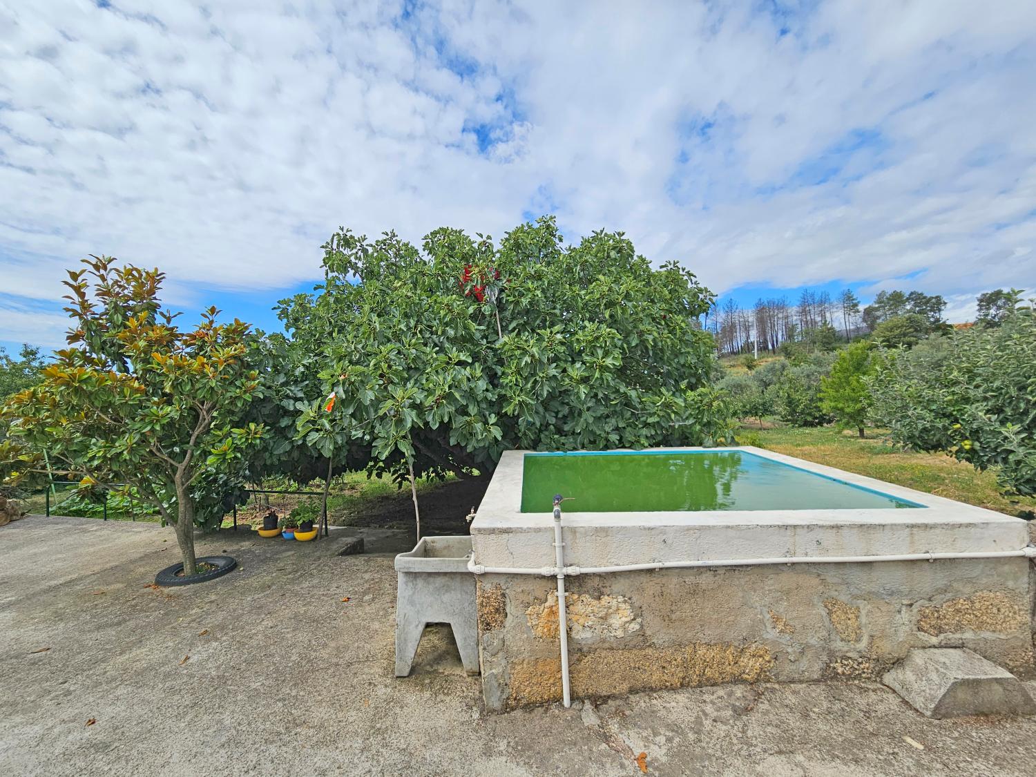  for sale house Gonçalo Guarda 7
