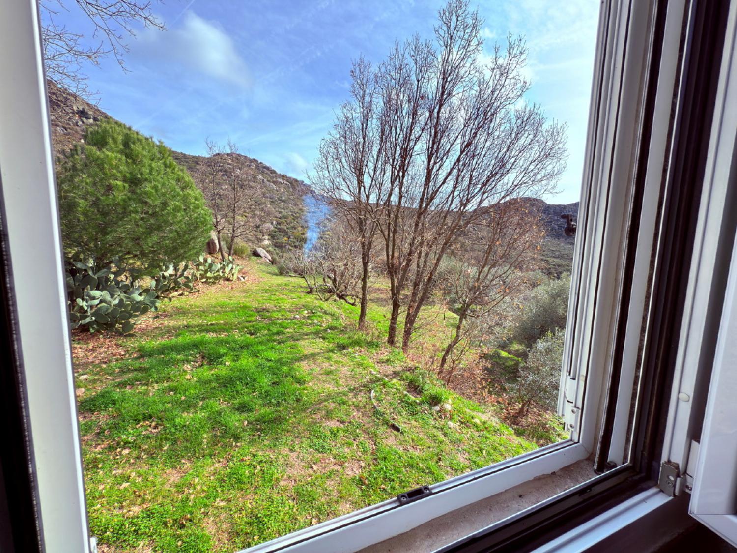  for sale farm Pousafoles do Bispo Sabugal 27