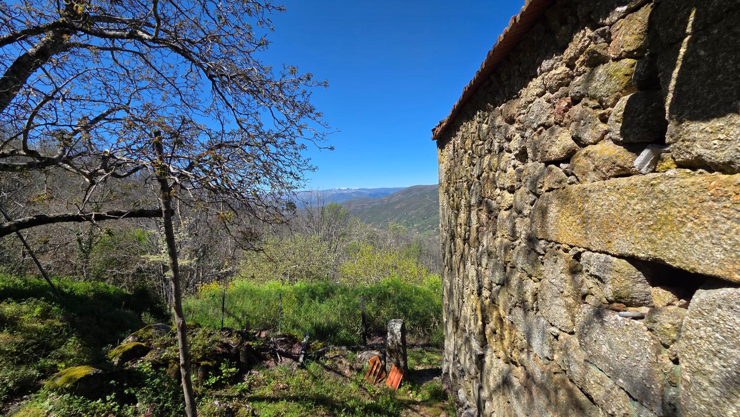  for sale farm Famalicão Guarda 2