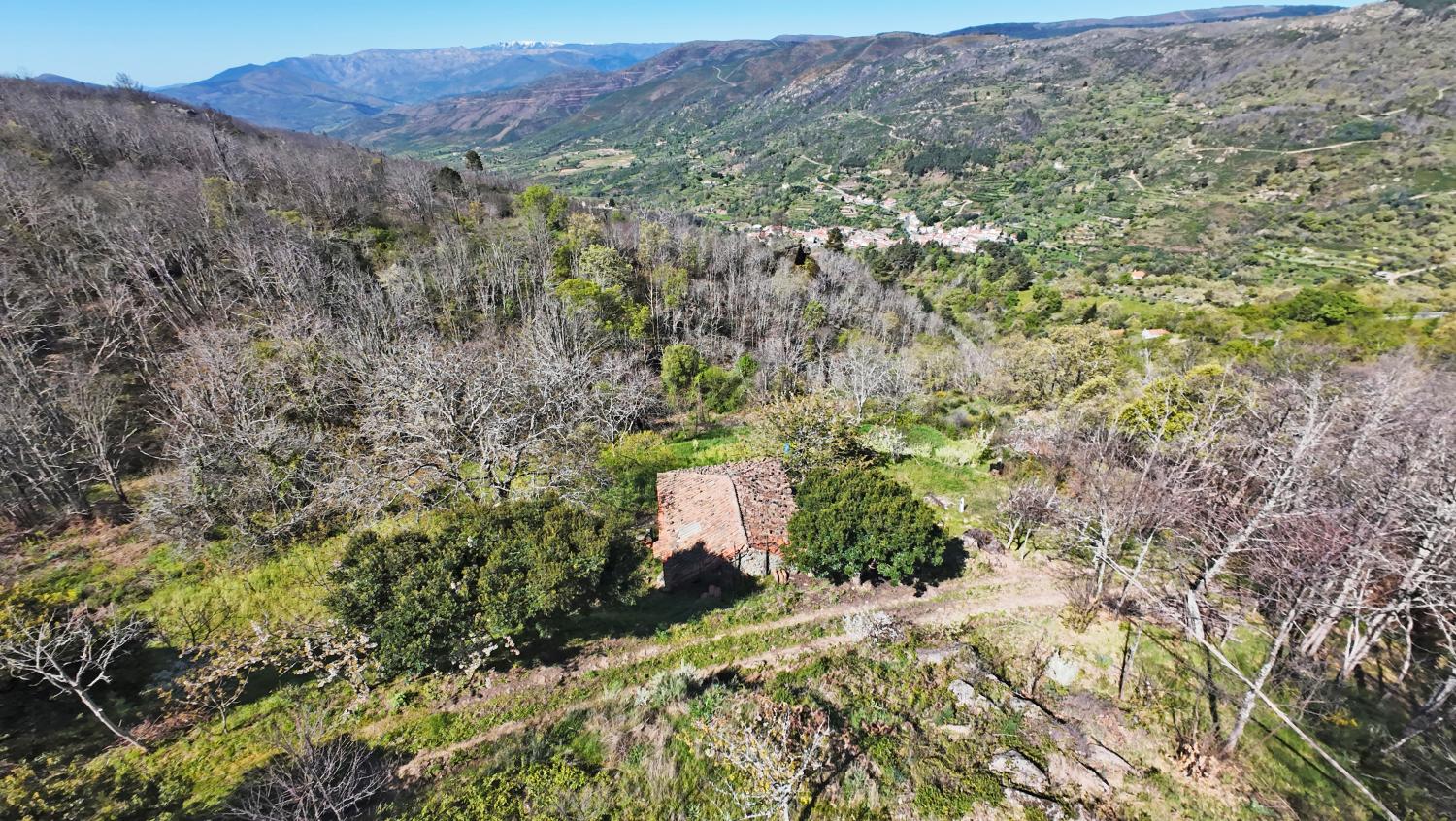  for sale farm Famalicão Guarda 7