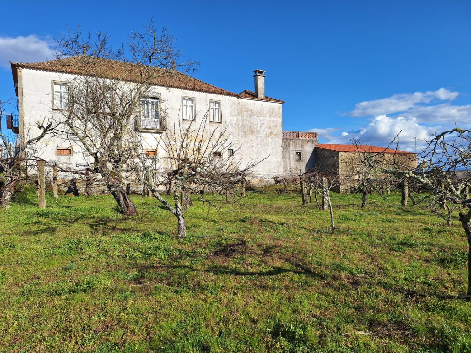 for sale detached house Pai Penela Mêda 1