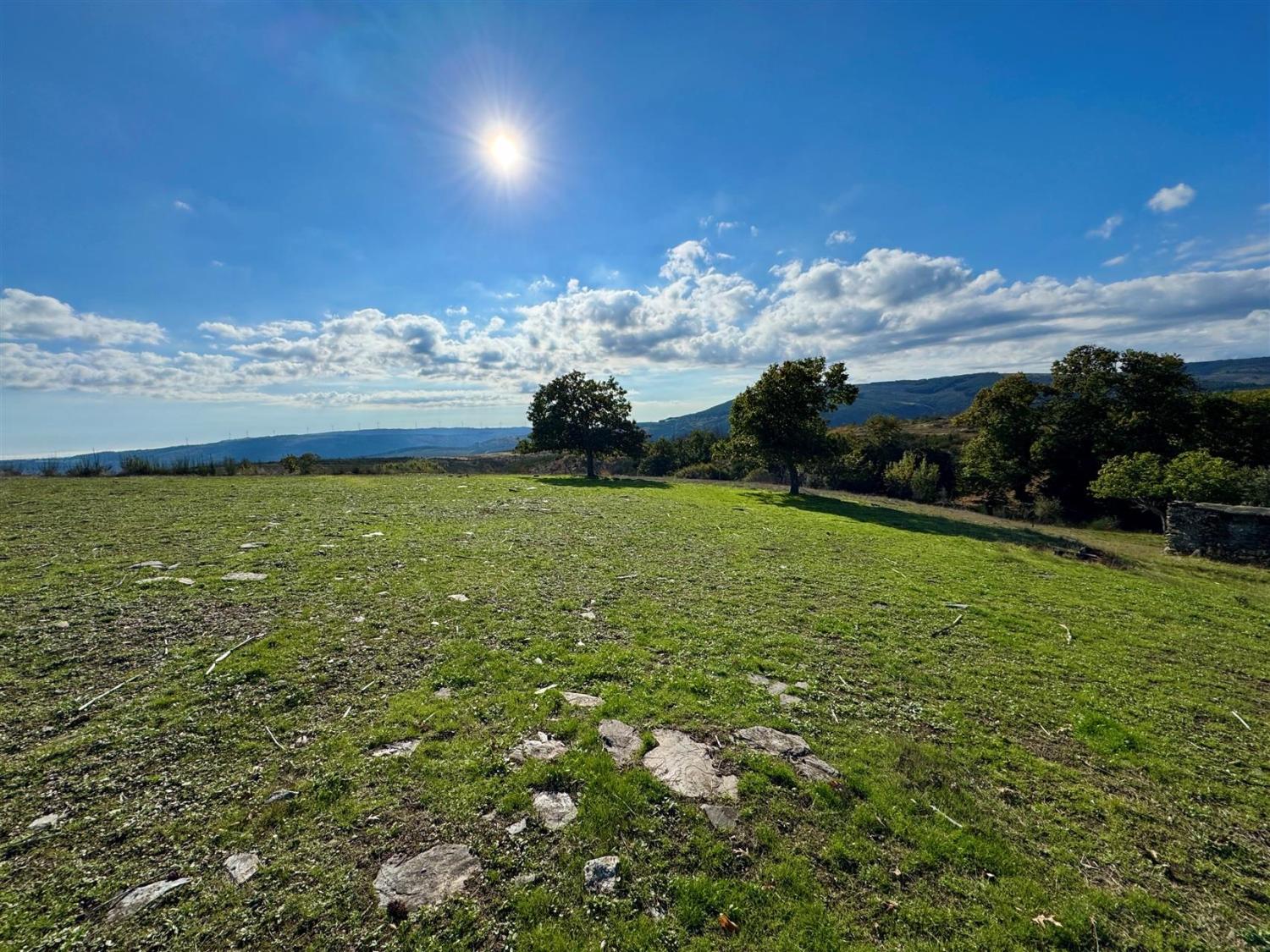  for sale farm Videmonte Guarda 2