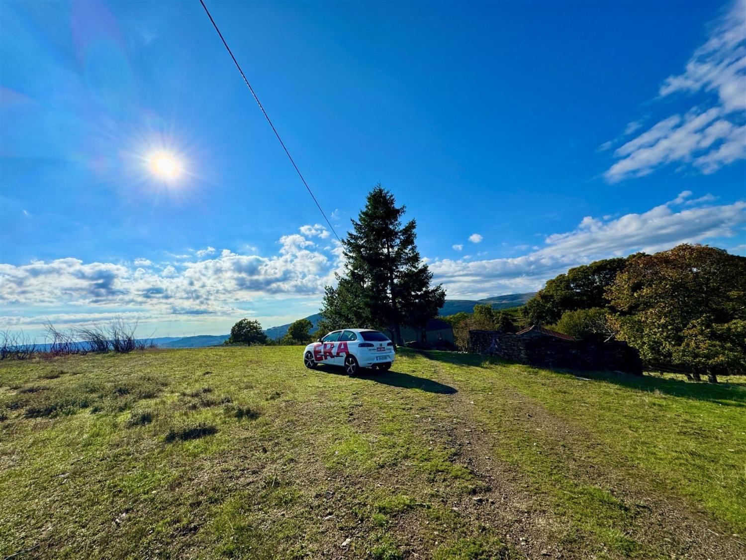  for sale farm Videmonte Guarda 7