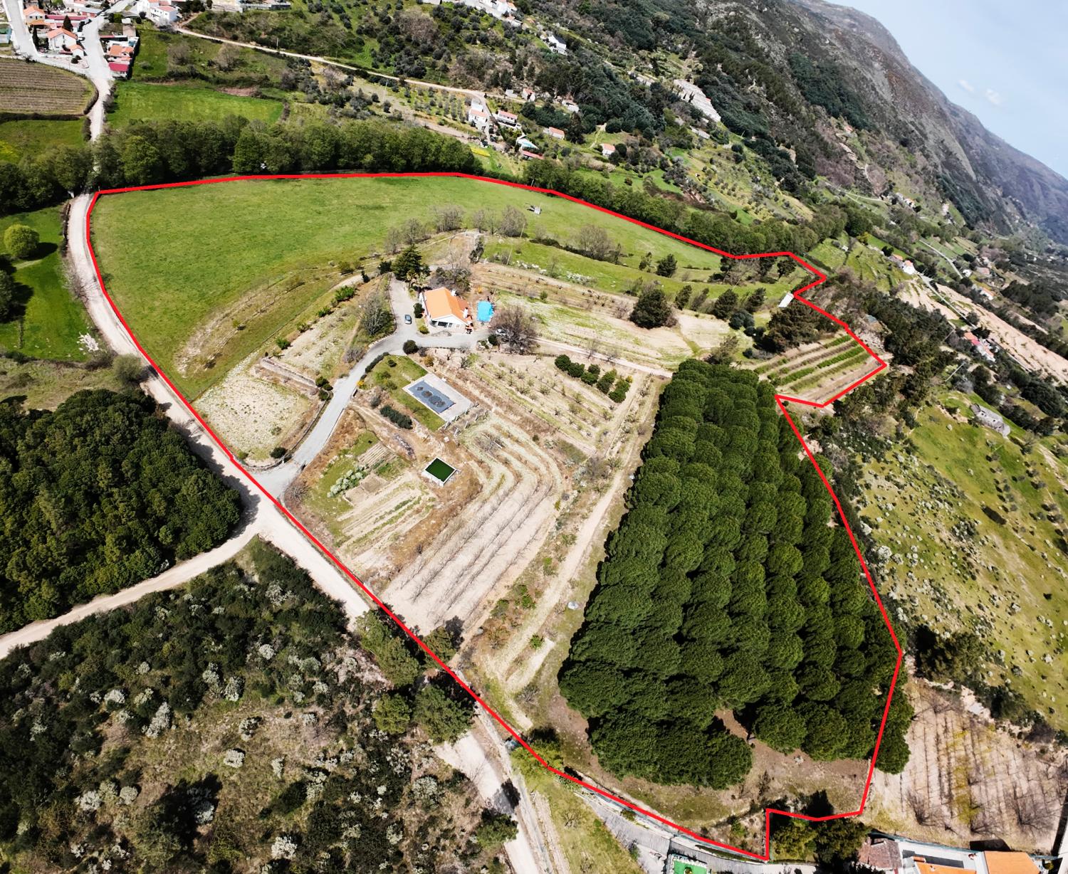 for sale farm Vela Guarda 2