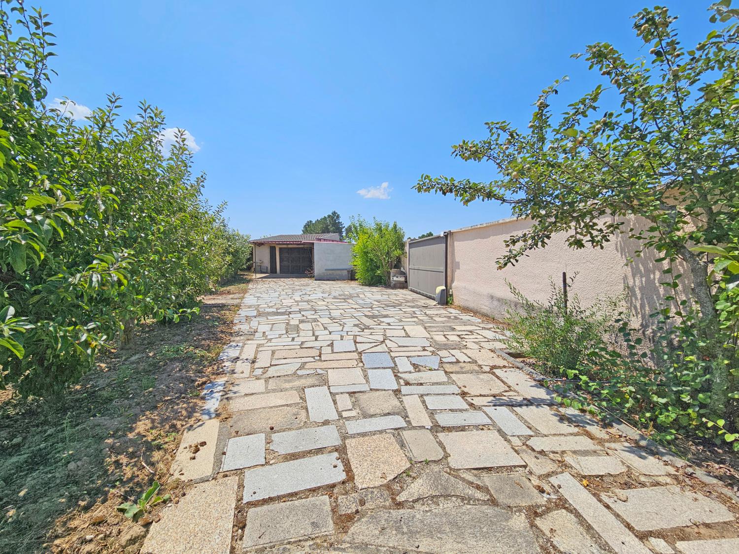  for sale detached house Souro Pires Pinhel 13