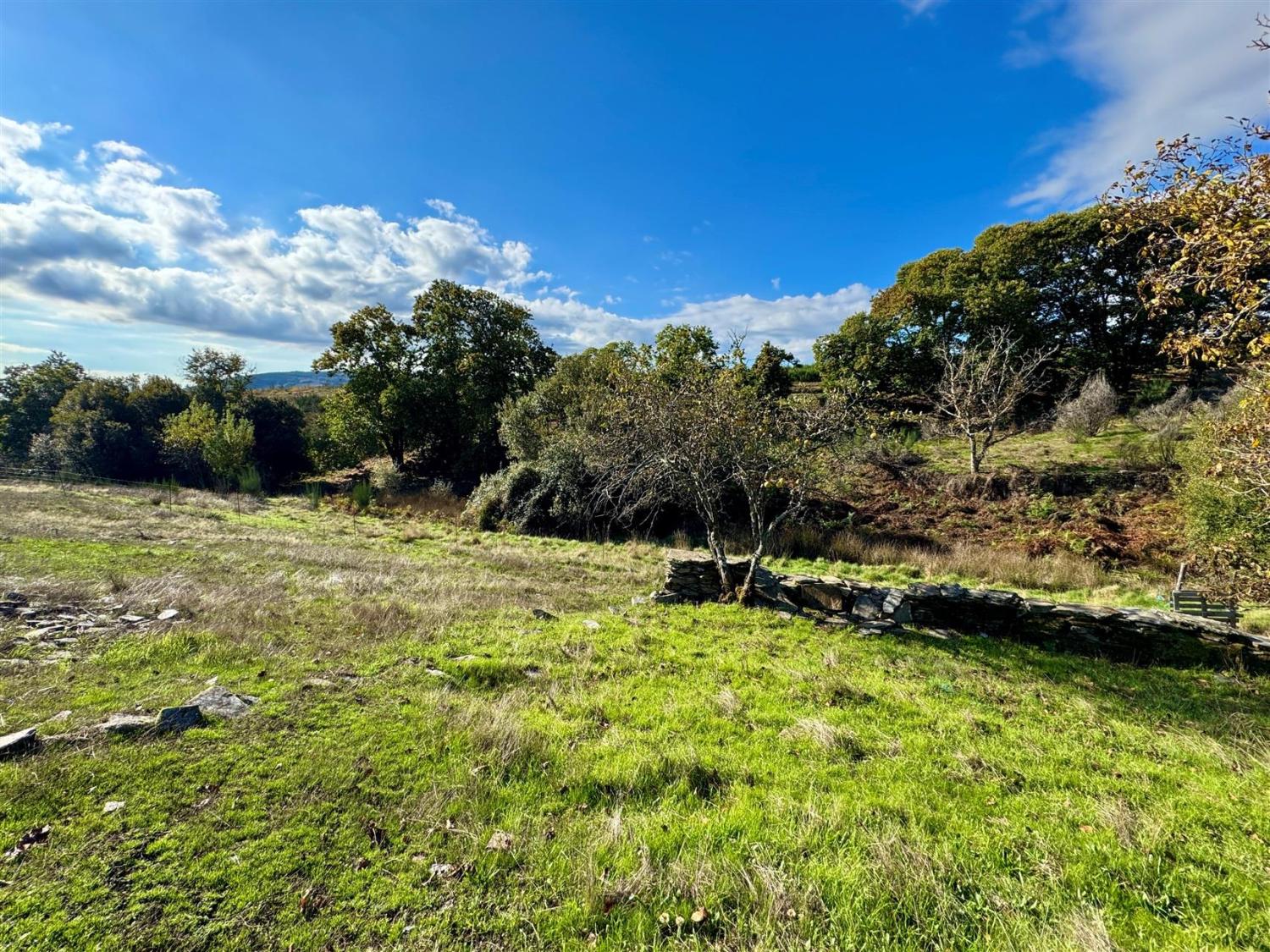  for sale farm Videmonte Guarda 3