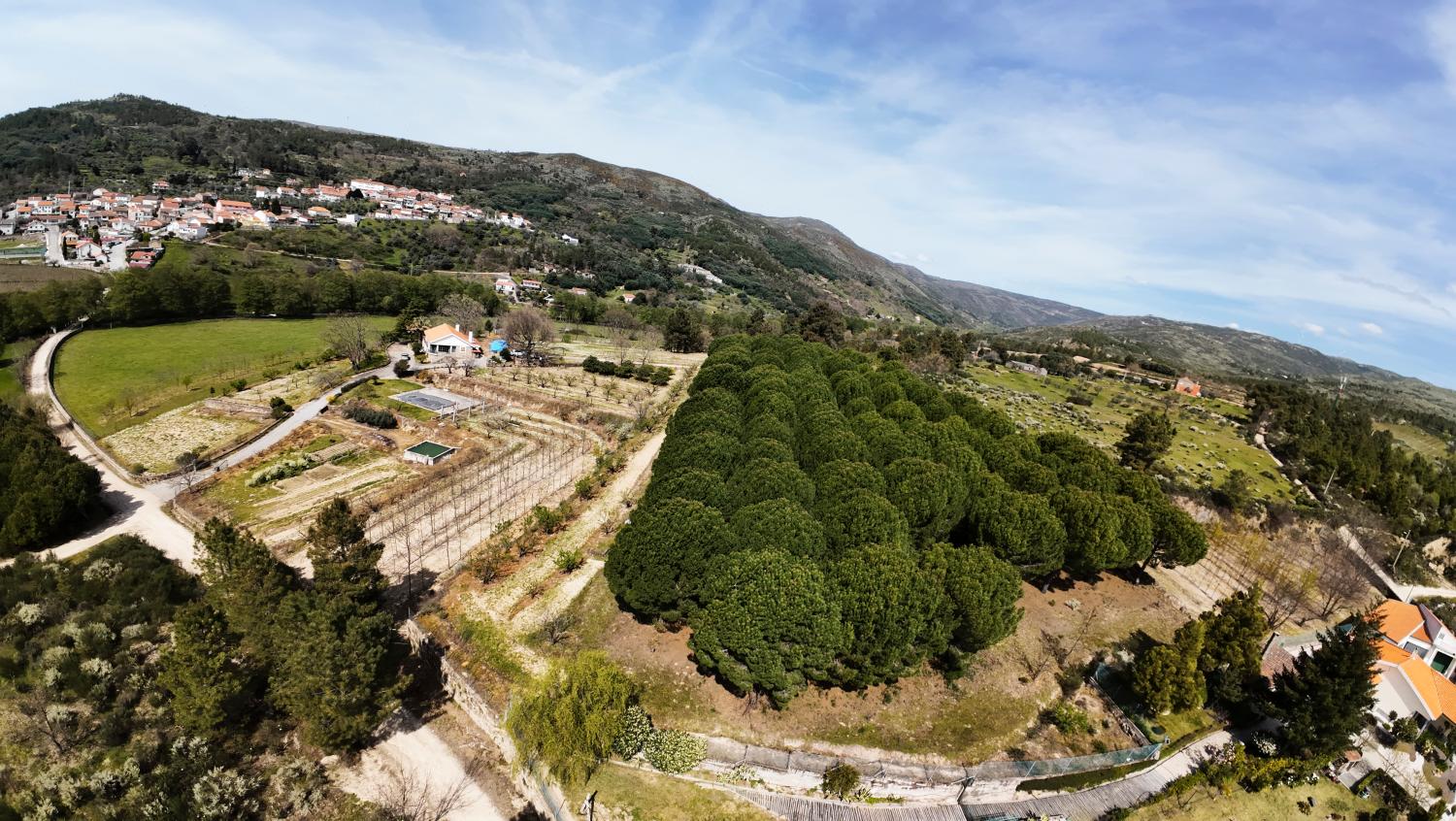  for sale farm Vela Guarda 11
