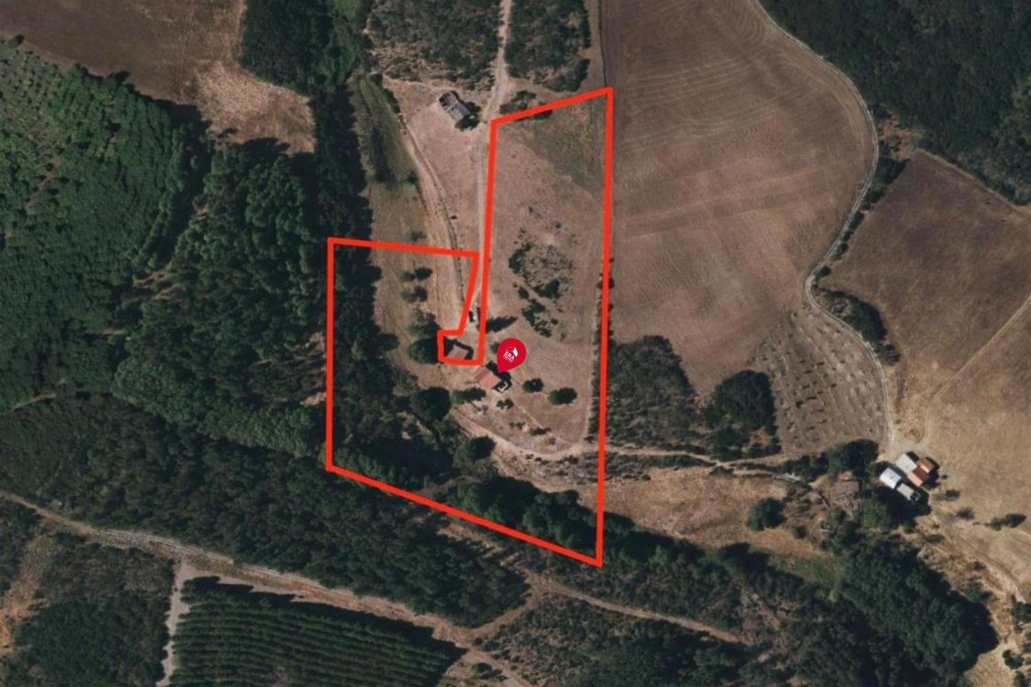  for sale farm Videmonte Guarda 11
