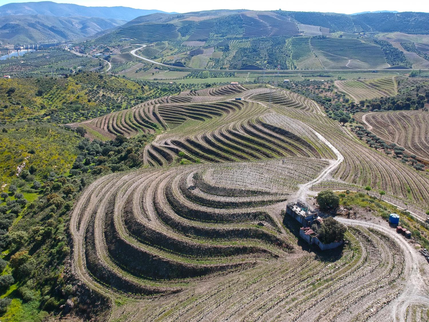  for sale vineyard Vila Nova de Foz Côa Vila Nova De Foz Côa 1