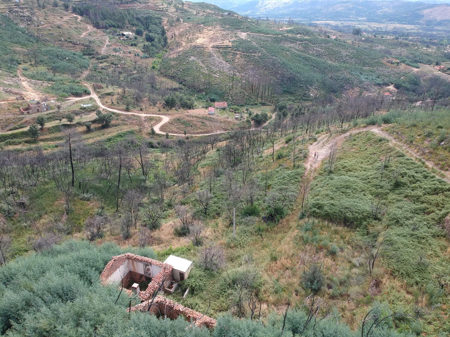  for sale terrain Valhelhas Guarda 7