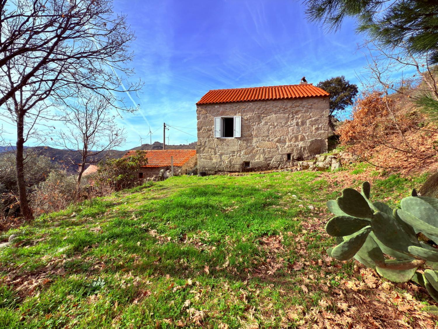  for sale farm Pousafoles do Bispo Sabugal 5